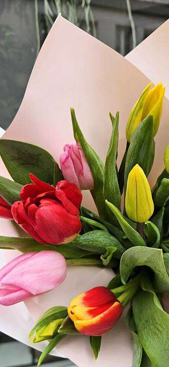 Tulips and hearts with pralines: 17 pcs and Leonidas 2