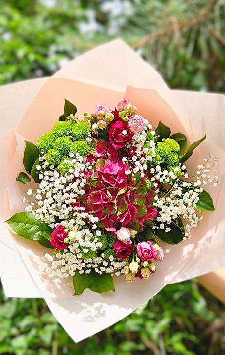 Elegantní Hortenzie 1