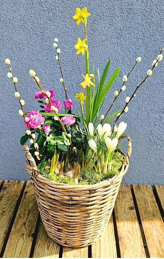 Jarní koš s kočičkami