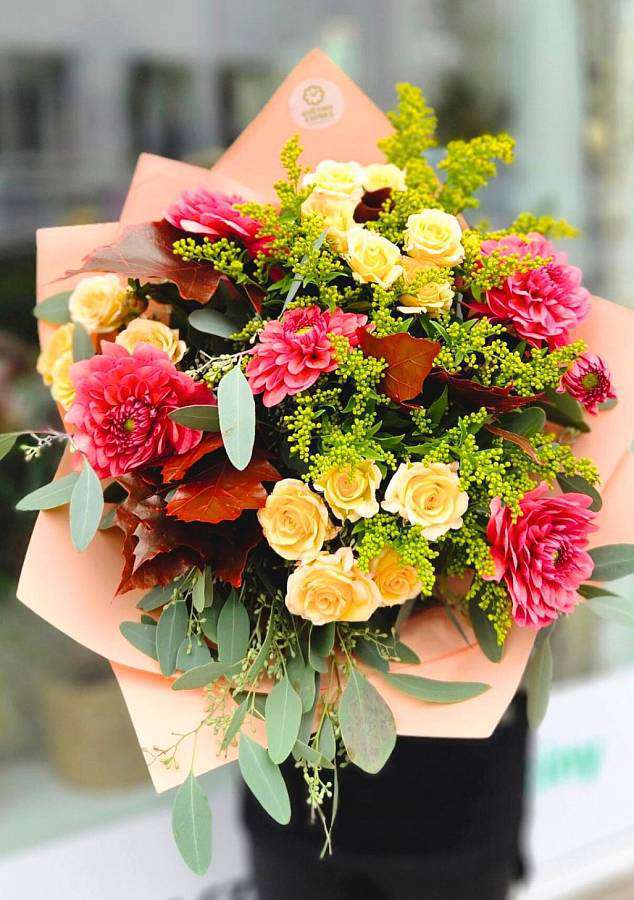 Podzimní Růžová Jiřina