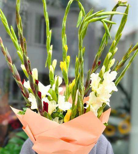 Gladioli Bouquet