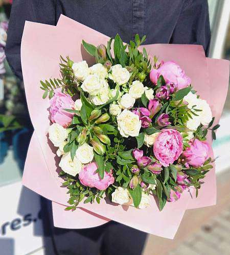 Peony Dreaming
