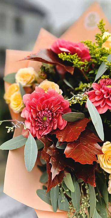 Podzimní Růžová Jiřina 2