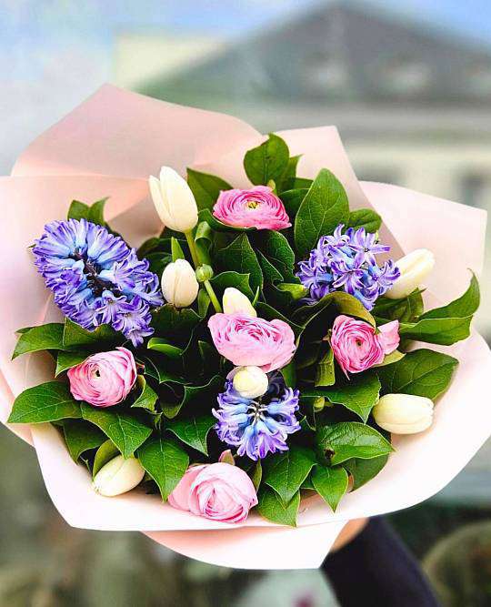 Bouquet of Fragrant Hyacinth 1