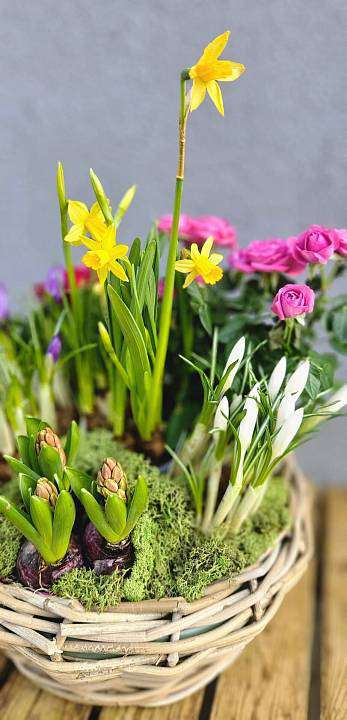 Jarní květinové aranžmá 1