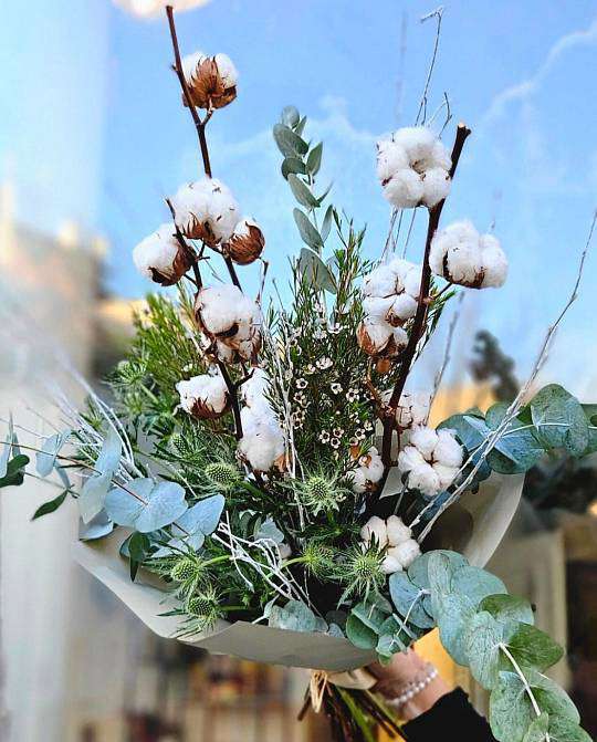 A cotton fairy tale 2