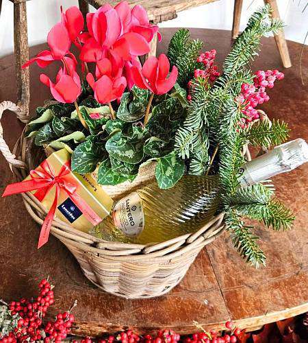 Cyclamen Gift Basket
