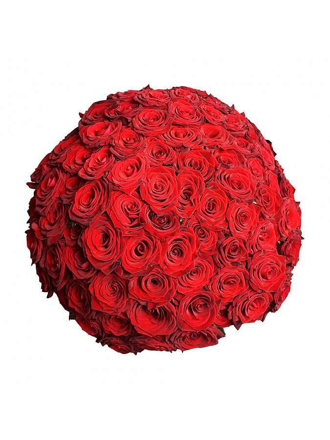 100 Růží Red Naomi