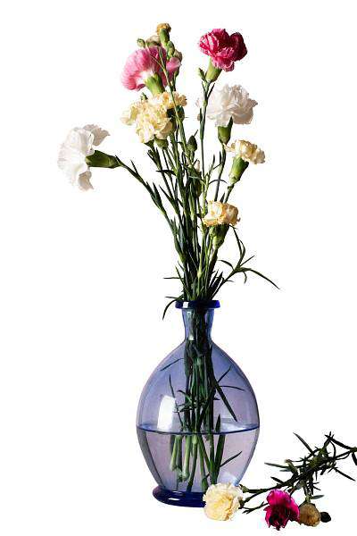 Cluster Carnation mix of colors