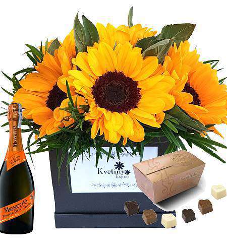 Květinový box slunečnice Prosecco