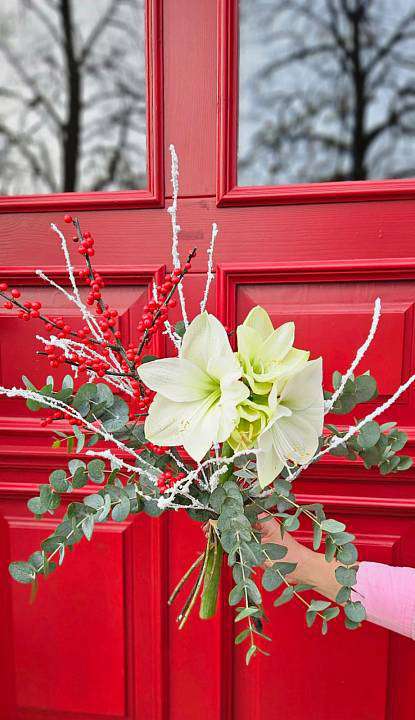 Bouquet of Christmas Amarylis in Ilex 1