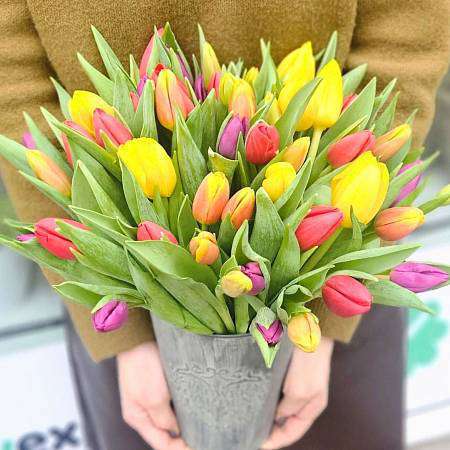 Mix 50 Tulips