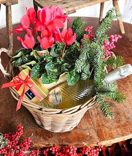 Cyclamen Gift Basket