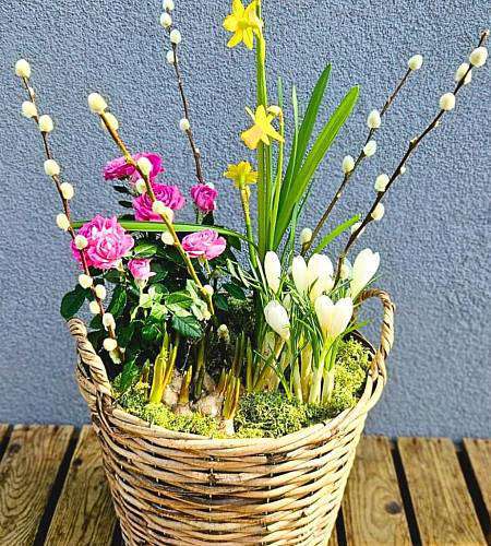 Весенняя корзина с вербой