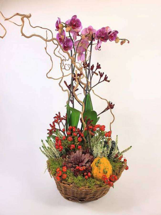Podzimní aranžmá