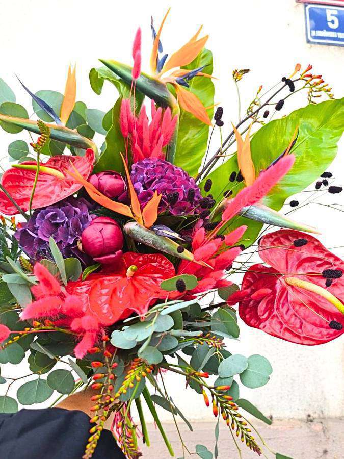Exotic bouquet with anthurium and strelitzia