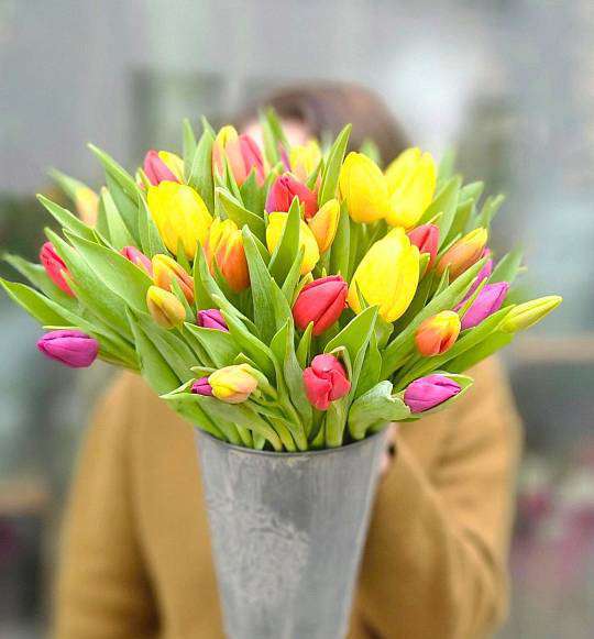 Mix 50 Tulips 2