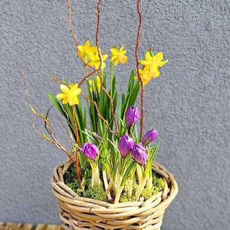 Jarní květináč Vrba