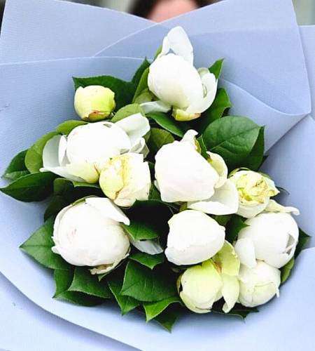 White peonies
