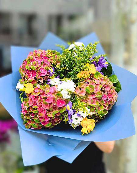 Разноцветные гортензии