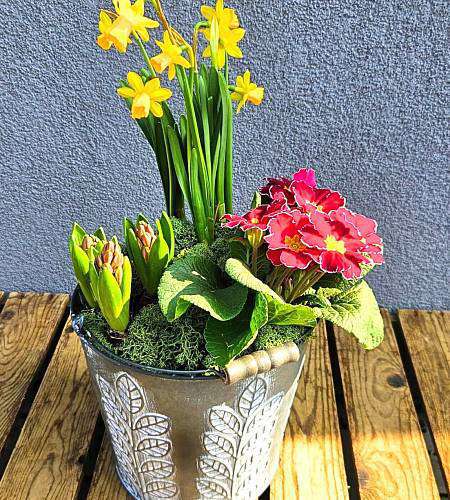 Spring planter