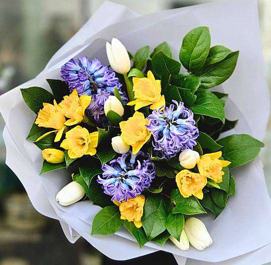 Jarní kytice Žluté jaro 1