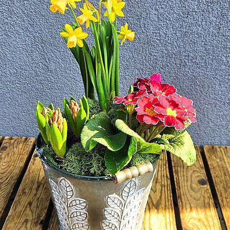 Jarní sázený květináč