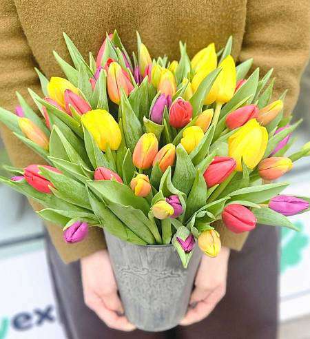 Mix 50 Tulipánů