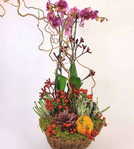 Podzimní aranžmá