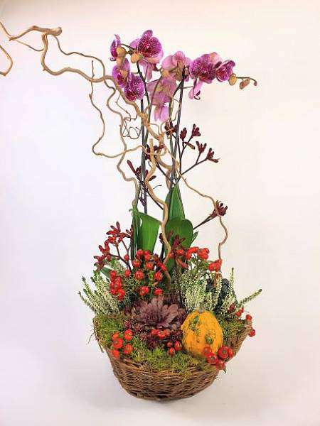 Podzimní aranžmá