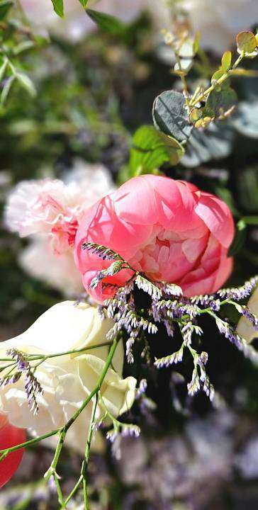 Romantic peony bouquet 2