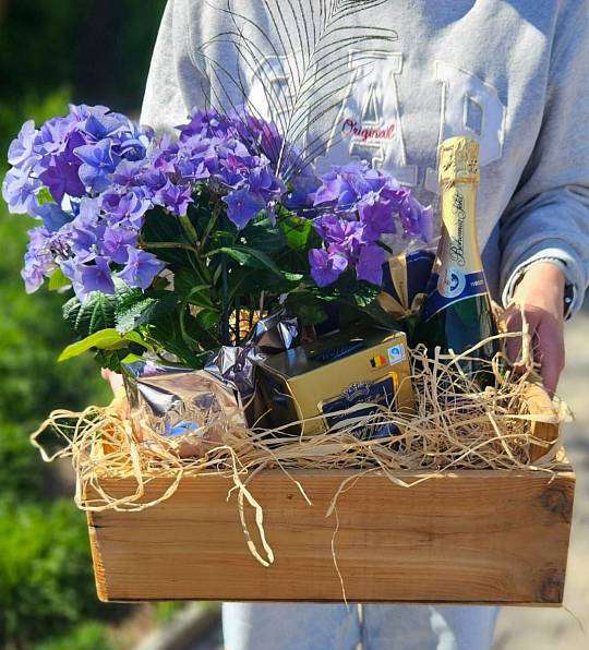 Purple Gift Basket 1