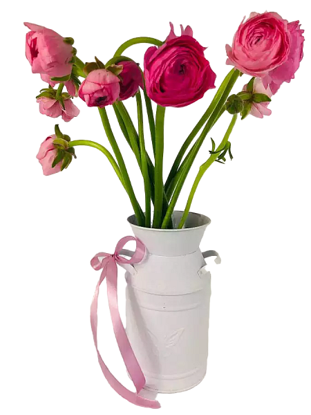 Ranunculus, Pryskyřník