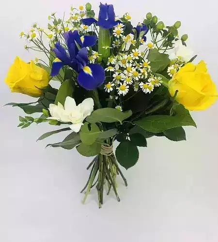 Kytice Bára Iris