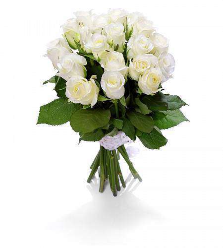 Bílé růže Něžnost (Avalanche)