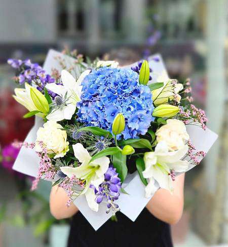 Summer blue hydrangea