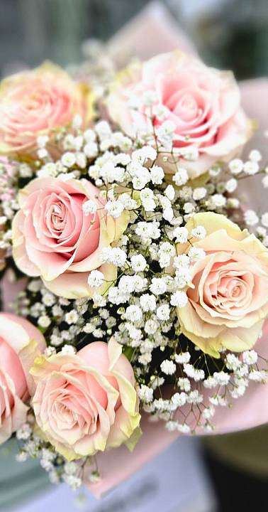 Růžové růže a Gypsophila 3