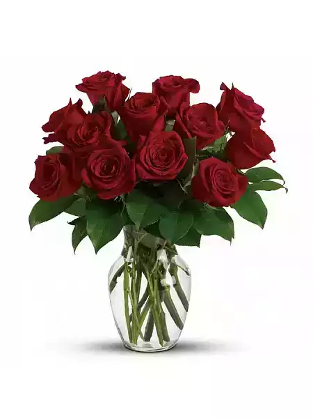 Rose Explorer