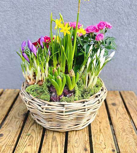 Spring flower box