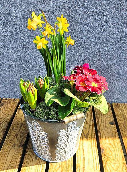 Jarní sázený květináč