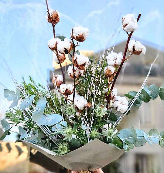 A cotton fairy tale 1