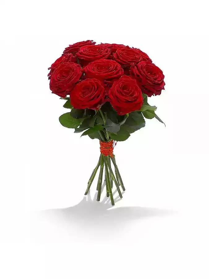 Červená růže Red Naomi