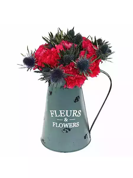 Carnation and eryngium in pot