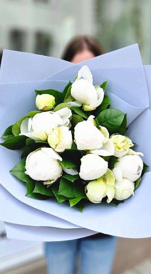 White peonies