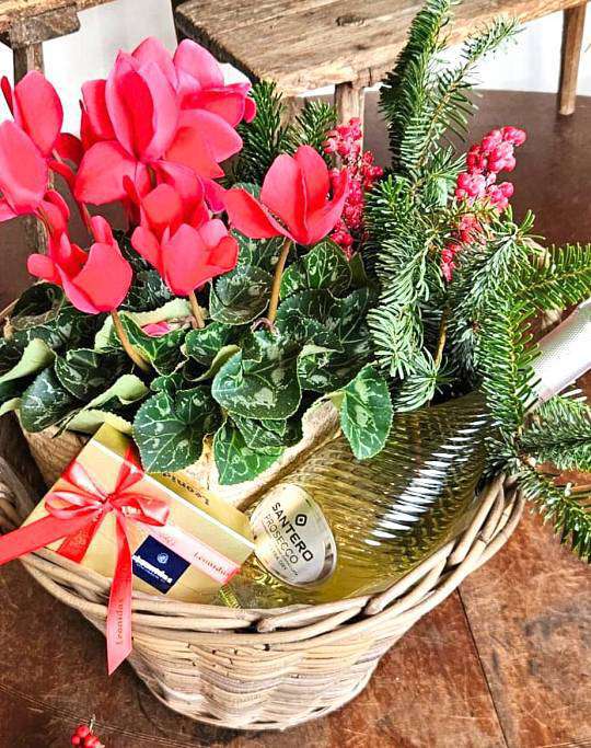 Cyclamen Gift Basket 1