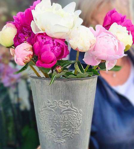 Tin peony