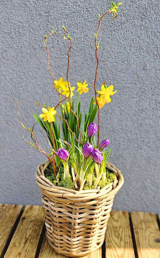 Весенний горшочек «Верба