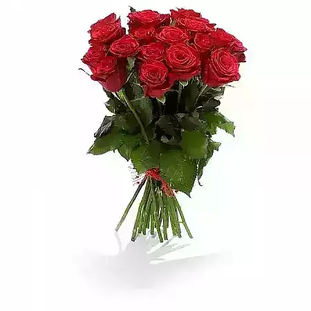 Розы Красного Рода