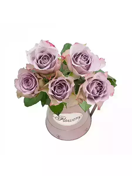 Purple rose medium