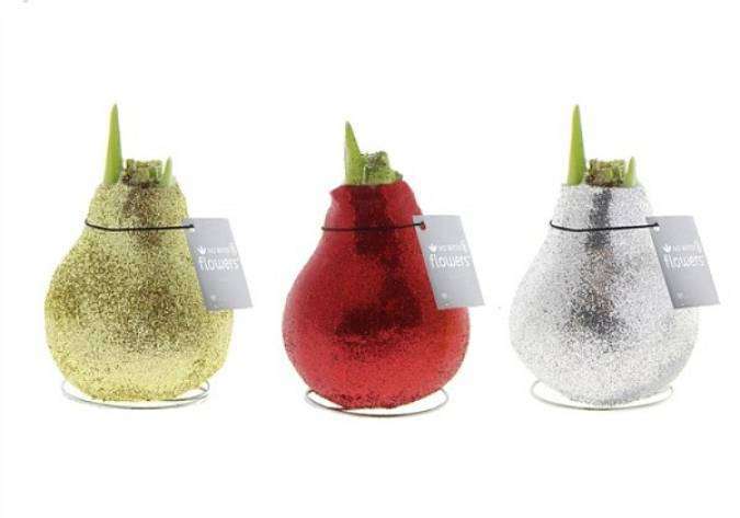 Амарилис в воске с блестками